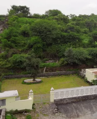 garden